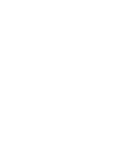 Orvion
