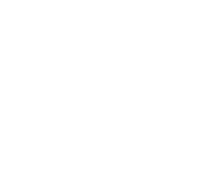 Orvion