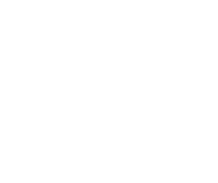 Orvion