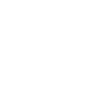 Orvion