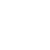 Orvion